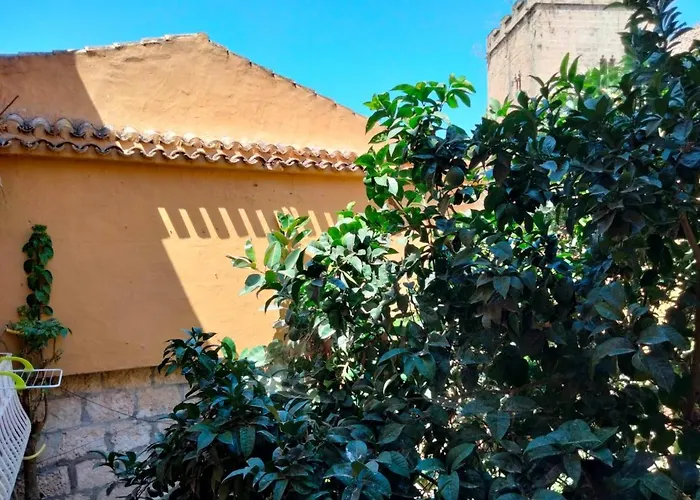 Estudio Castillo