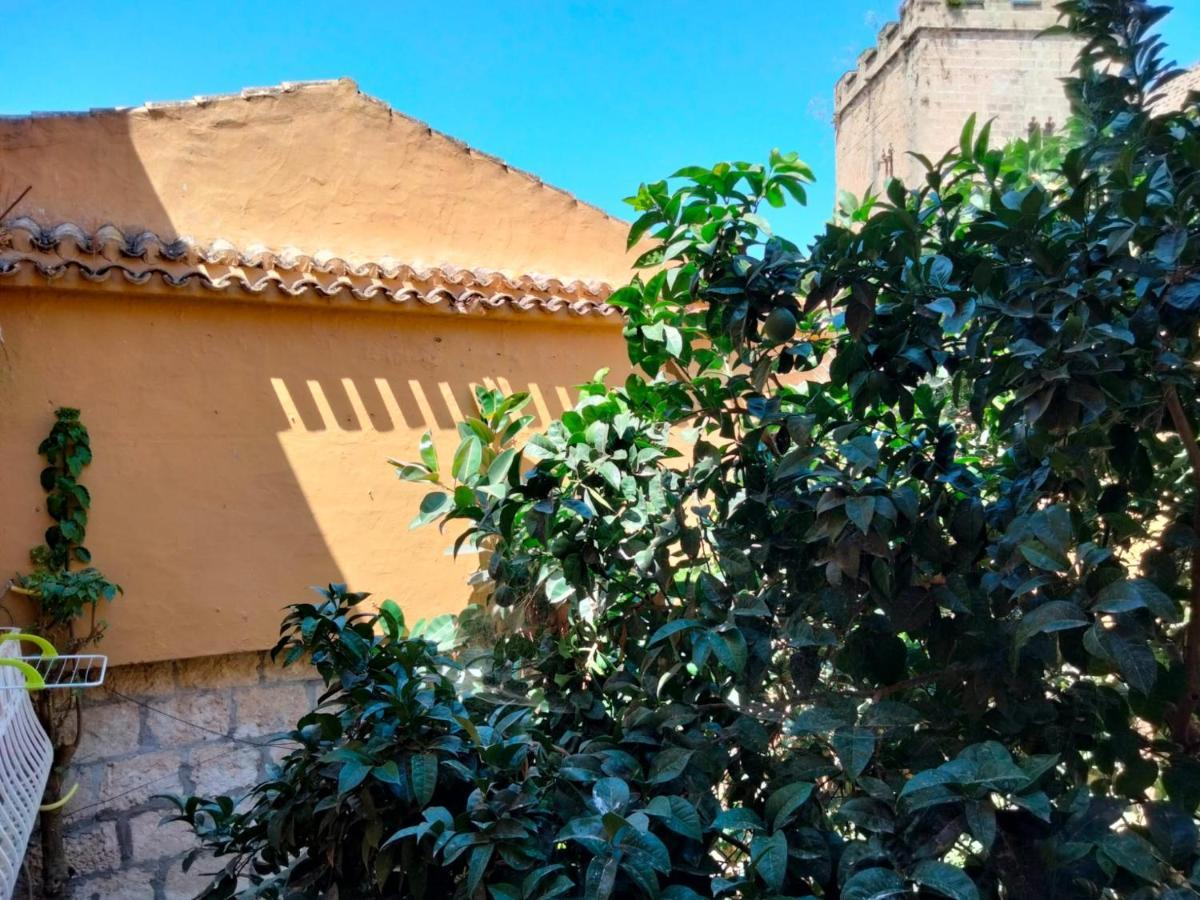 Estudio Castillo Denia